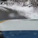 Reggio Emilia, il salvataggio di un capriolo bloccato sulla neve