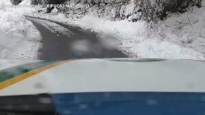 Reggio Emilia, il salvataggio di un capriolo bloccato sulla neve