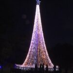Sudafrica, folla incantata al Festival delle Luci dello zoo di Johannesburg