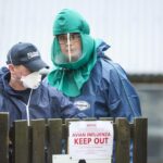 Influenza aviaria, primo caso grave in un uomo negli Usa