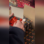 Pordenone, sequestrati 65 mila fuochi d’artificio stoccati accanto a prodotti infiammabili