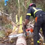 Mayotte, squadre di soccorso al lavoro dopo il ciclone Chido