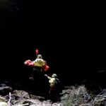 Ottavia Piana, la speleologa in superficie: tratta in salvo da grotta a Bergamo