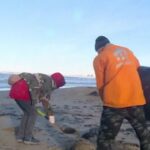 Russia, petroliere affondate nel Mar Nero: si lavora per ripulire la costa