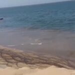 Perù, fuoriuscita di petrolio danneggia le spiagge di Lobitos: la macchia nera in mare