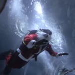 Brasile, Babbo Natale nuota con gli squali nell’acquario di Rio de Janeiro