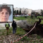 Cade albero a Roma: morta una donna e un’altra rimasta ferita