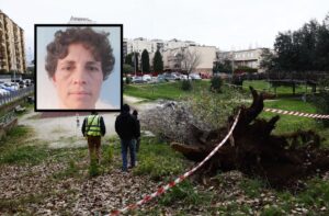 Cade albero a Roma: morta una donna e un’altra rimasta ferita