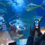 Germania, Babbo Natale si immerge nelle acque tropicali del parco marino di Monaco