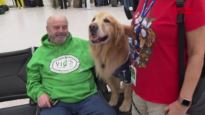 Pet-therapy in aeroporto, a Houston due golden retriever rilassano i viaggiatori