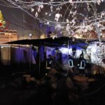 Roma, incendio a Villa Borghese: evacuate stazioni metro. Intossicato dal fumo un 16enne