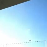 Corea del Sud, in un video il probabile danno al motore dell’aereo precipitato a Muan