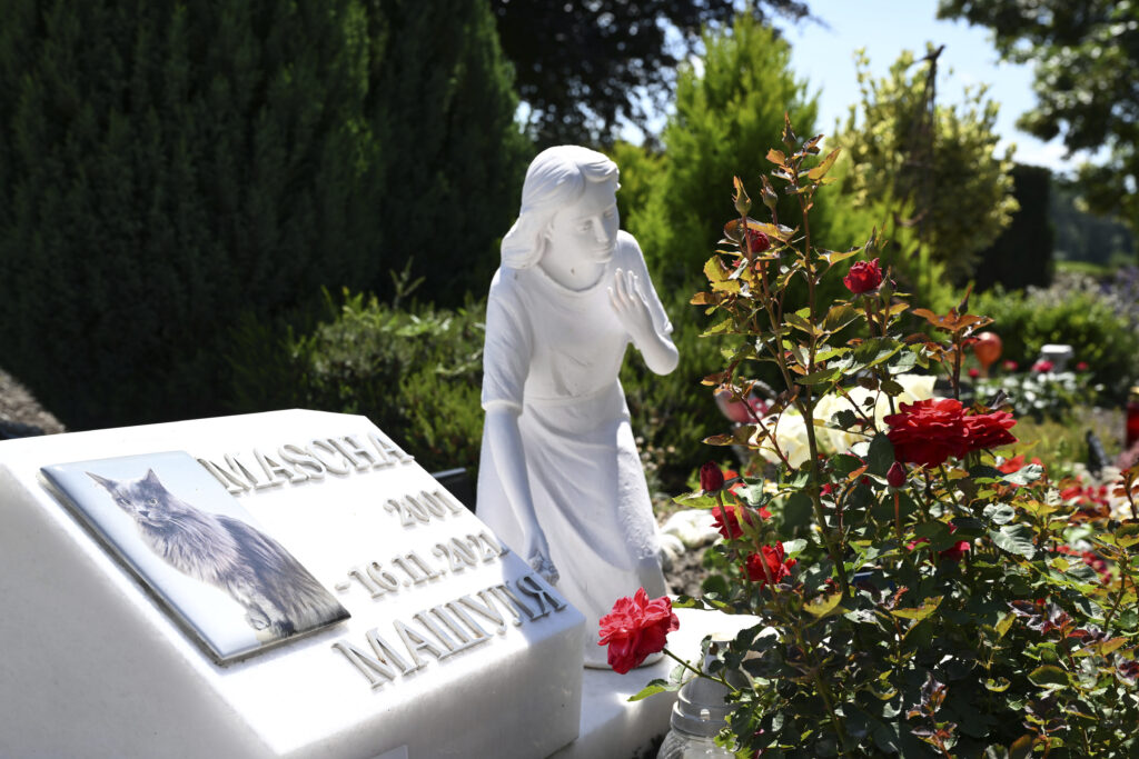 Milano apre i cimiteri agli animali d’affezione: la tumulazione accanto ai proprietari