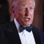 Usa, Trump sceglie imprenditore di origini cubane come ambasciatore in Spagna