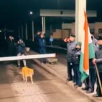 Romania entra in area Schengen, è un cane randagio il primo ad attraversare il confine