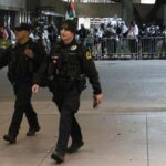 Dallas, incendio in centro commerciale: muoiono 500 animali