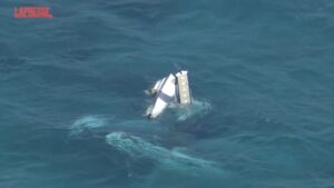 Australia, velivolo si schianta al largo di Rottnest Island: tre morti