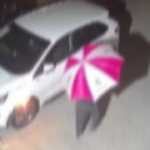 Reggio Calabria, fermato piromane seriale di Gioiosa Ionica