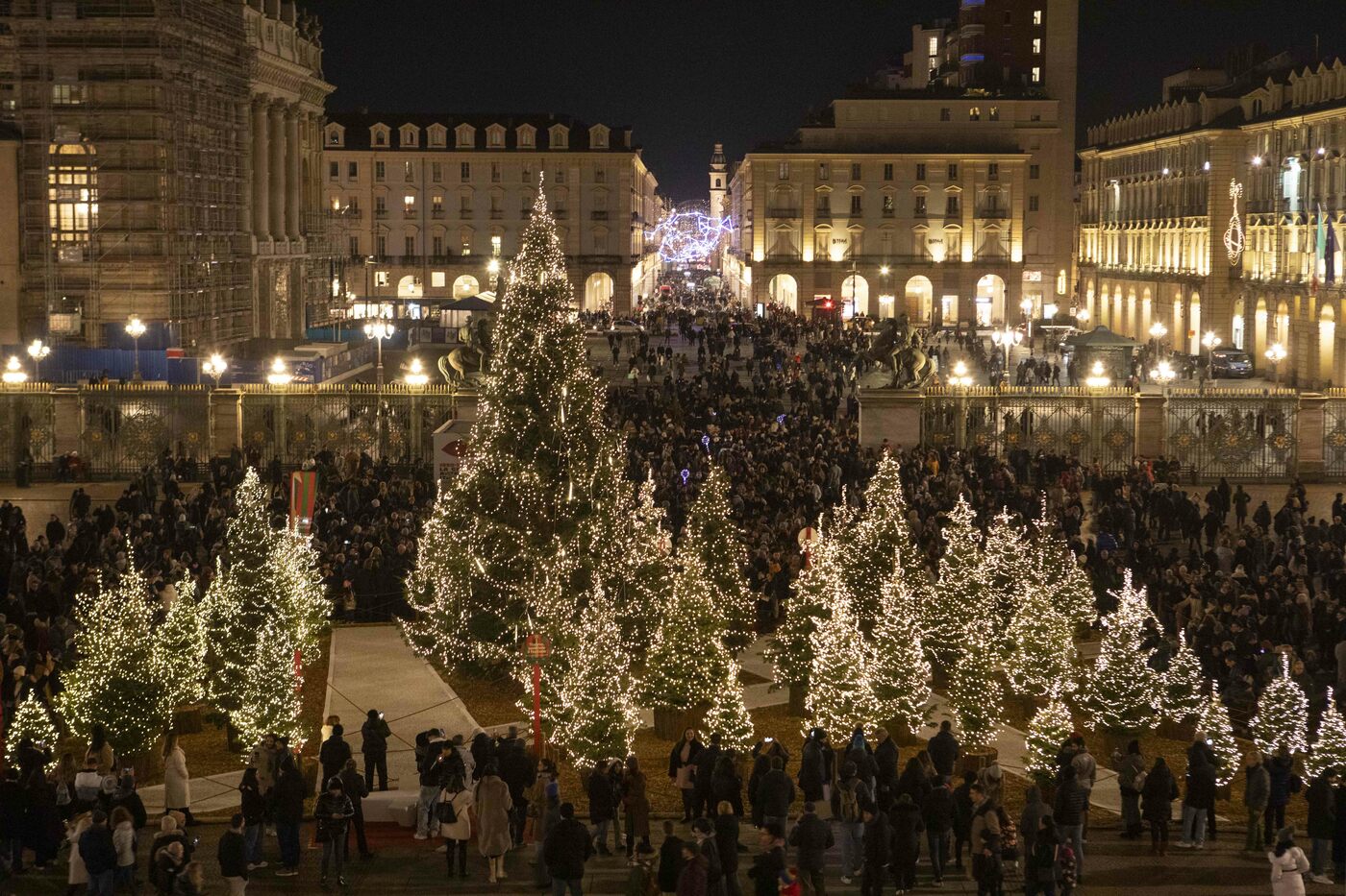 Non mangiate il vostro albero di Natale: il caso che fa discutere in Belgio