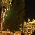 Riciclare gli alberi di Natale? Sì ma senza mangiarli