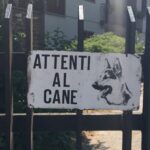 Latina, donna sbranata e uccisa dai cani di un amico. Giallo sulla dinamica