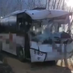 Firenze, albero cade su scuolabus a Rignano sull’Arno: le immagini