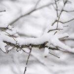 Meteo, allerta temporali al Sud: in Calabria nevica