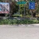 Reggio Calabria, anziani truffati da parenti e abbandonati: due indagati