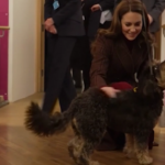 Kate Middleton al Royal Marsden Hospital saluta il cane della pet therapy