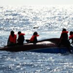 Migranti, 50 morti in un naufragio: si dirigevano alle Canarie