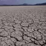 Tg Green 16 gennaio – Il 2024 super caldo, primo anno oltre 1,5 gradi