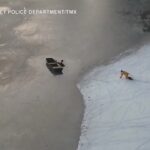 Massachusetts, un uomo e il suo cane cadono nel lago ghiacciato: salvati