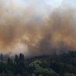 Argentina, vasto incendio in Patagonia: distrutte decine di case
