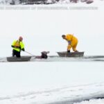 Usa, alce intrappolato in un lago ghiacciato: il video del salvataggio