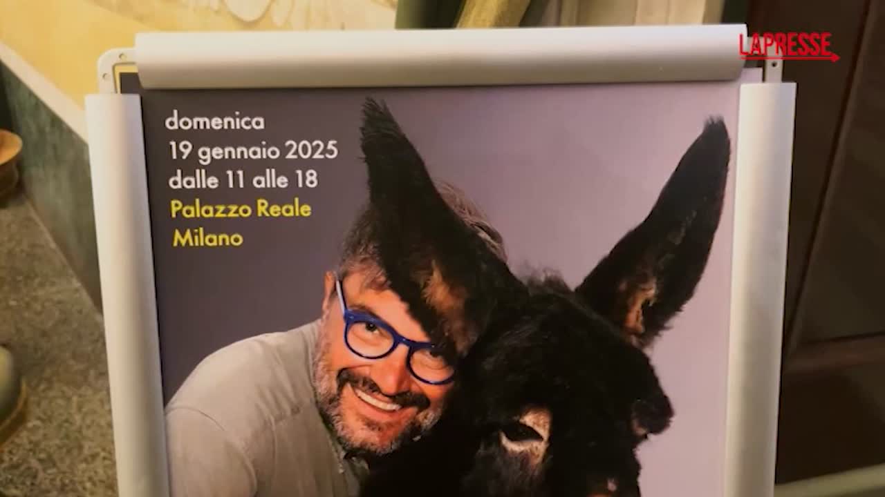 Milano ricorda Toscani con una mostra a Palazzo Reale, Sala: “Provocava ma ci metteva la faccia”