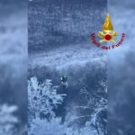 L’Aquila: in salvo Anakin, il siberian husky disperso sul Monte Velino