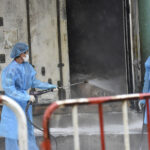 Influenza aviaria, confermato caso di contagio umano nel Regno Unito