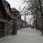 Giorno della Memoria 2025, ricordare la Shoah per non dimenticare