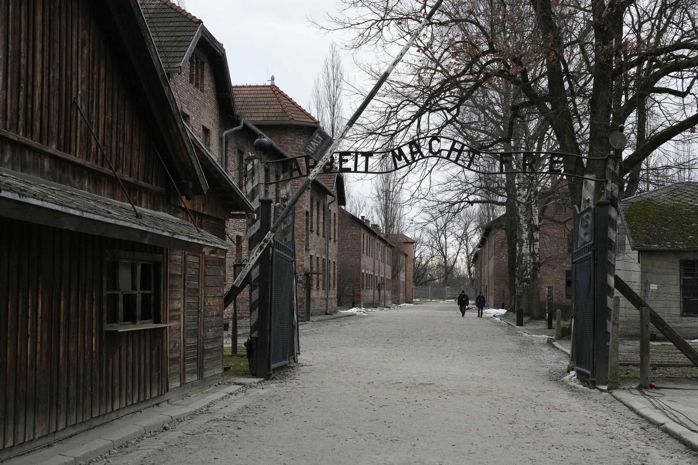 Giorno della Memoria 2025, ricordare la Shoah per non dimenticare Giorno della Memoria 2025, ricordare la Shoah per non dimenticare