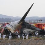 Disastro aereo in Corea del Sud, trovate tracce di uccelli nel motore