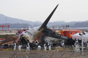 Disastro aereo in Corea del Sud, trovate tracce di uccelli nel motore