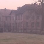 L’alba ad Auschwitz nell’80° anniversario della liberazione