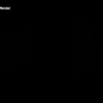 Germania, video AfD in stile Star Wars contro ‘Darth Merz’