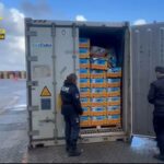 Sequestrati 27 kg di cocaina al porto di Gioia Tauro