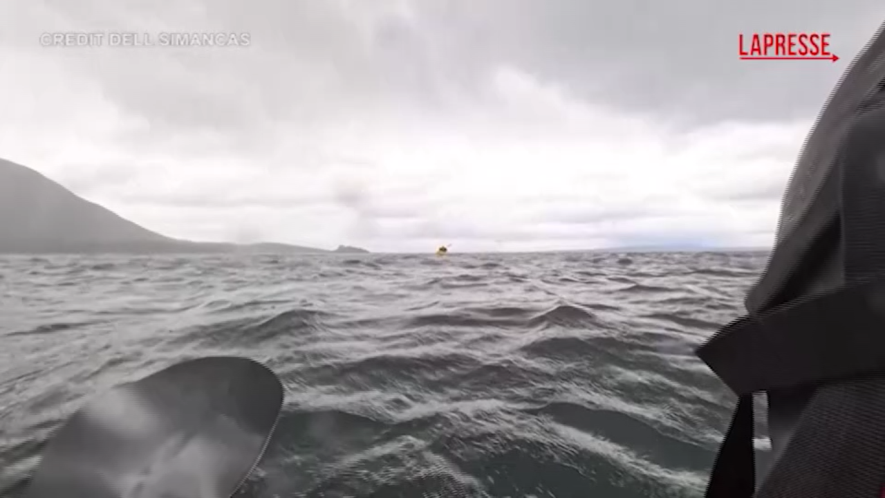 Una balena inghiotte e poi libera un ragazzo sul kayak: il video