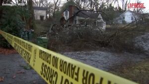 Usa, enorme albero cade su una casa a Atlanta: un morto