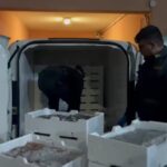 Palermo, la guardia di finanza sequestra oltre 800 kg di pesce e lo devolve in beneficenza