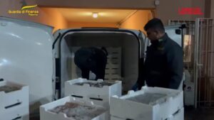 Palermo, la guardia di finanza sequestra oltre 800 kg di pesce e lo devolve in beneficenza