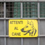 Palermo, anziano sbranato da cani morto a Bagheria