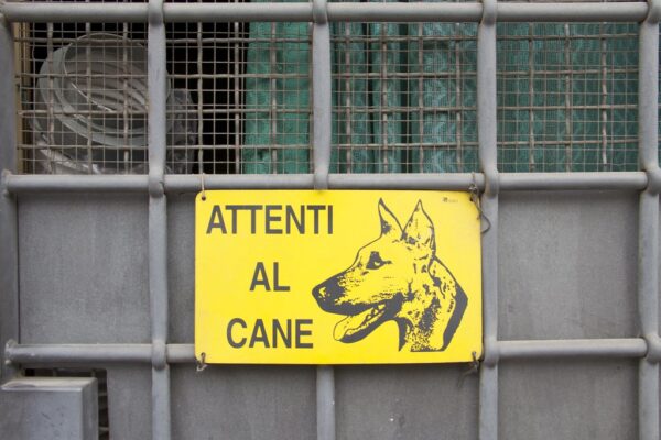 Palermo, anziano sbranato da cani morto a Bagheria